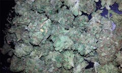 User uploaded image of Citrix