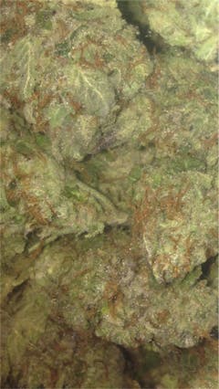 User uploaded image of Citrix