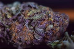 User uploaded image of Citrus Kush