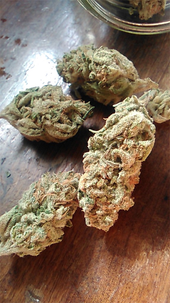 Citrus Kush Cannabis Strain