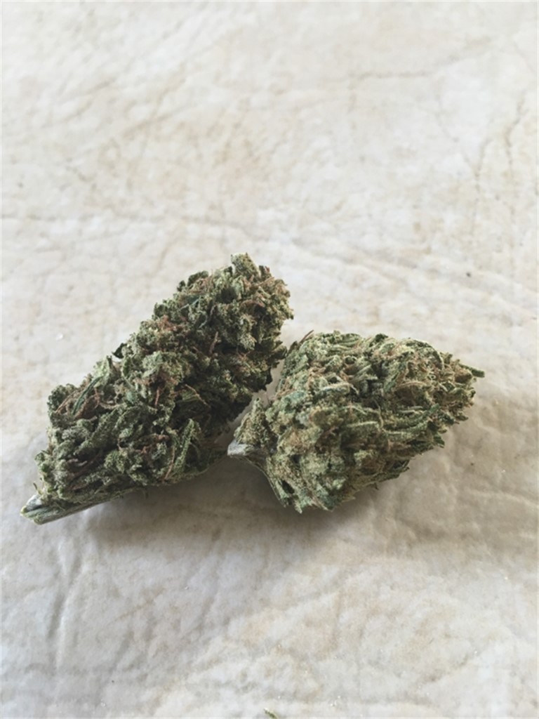 Citrus Kush Cannabis Strain