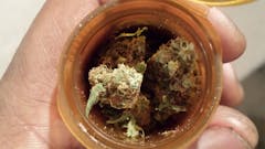 User uploaded image of Citrus Kush