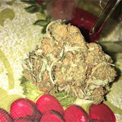 User uploaded image of Citrus Kush