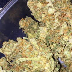 User uploaded image of Citrus Punch