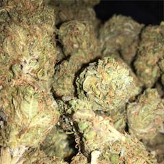 User uploaded image of Citrus Punch