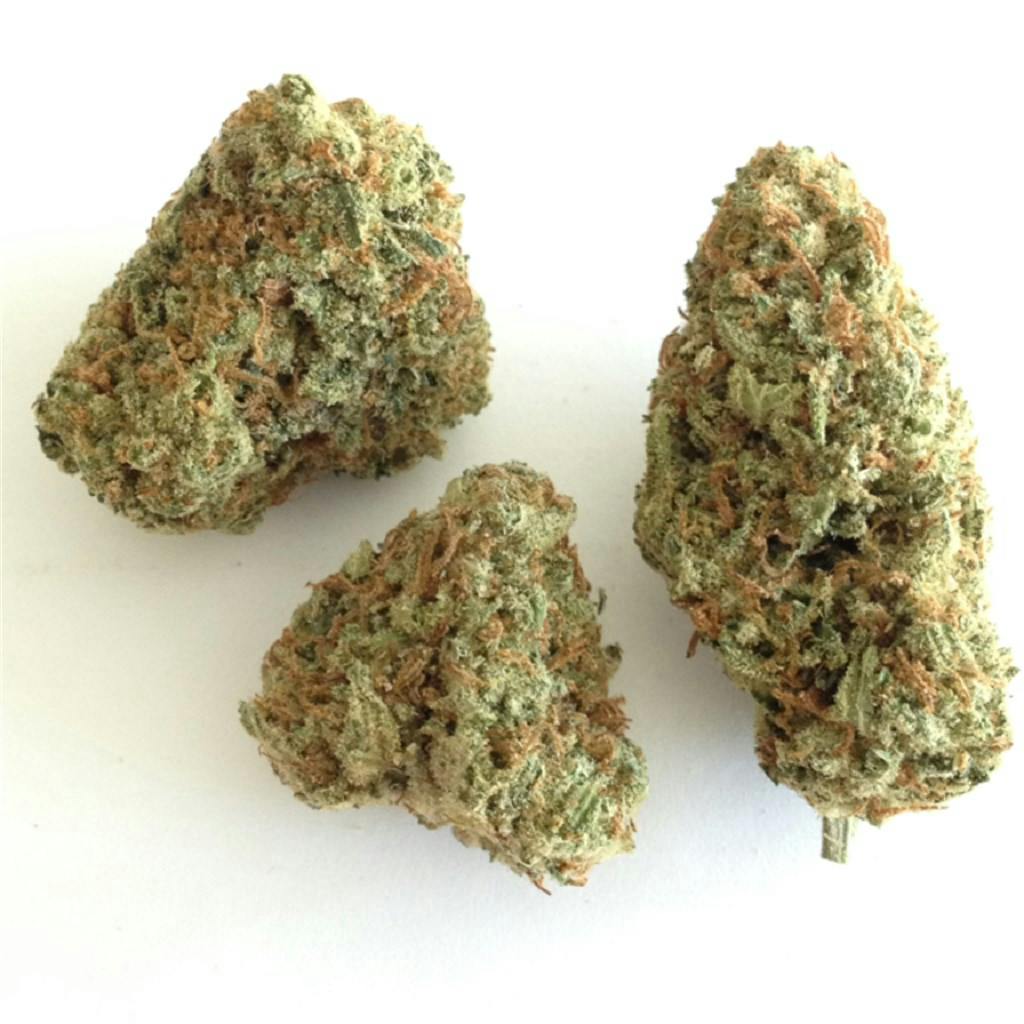 Citrus Punch Weed Strain Information Leafly