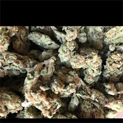 User uploaded image of Citrus Sap