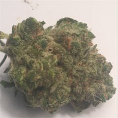 User uploaded image of Citrus Sap