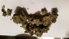 User uploaded image of Citrus Sap