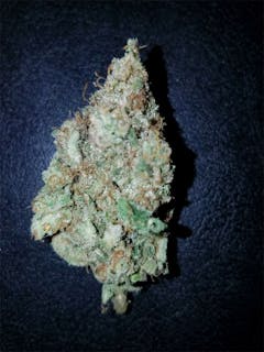 User uploaded image of Citrus Sap