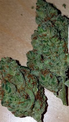 User uploaded image of Citrus Sap