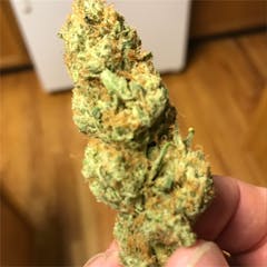 User uploaded image of Clementine Kush