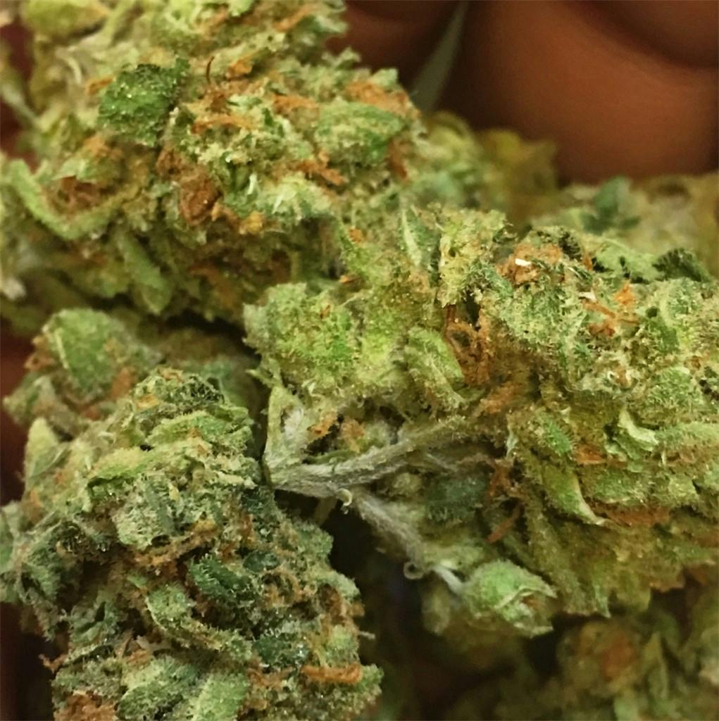 Clementine Weed Strain Information Leafly