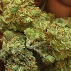 User uploaded image of Clementine