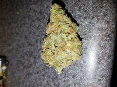 User uploaded image of Clementine