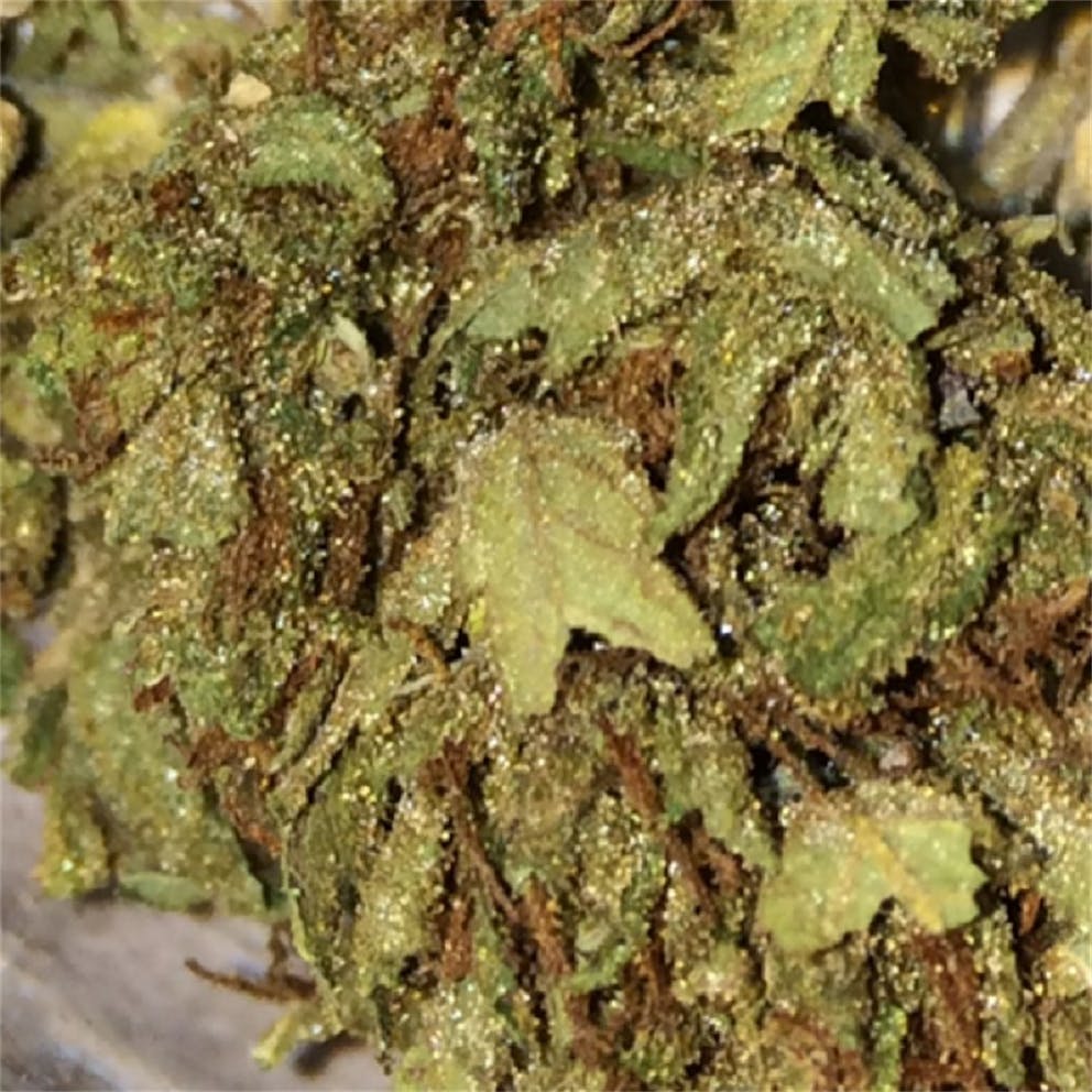 Photos of Clementine Weed Strain Buds Leafly