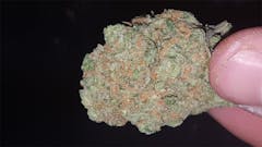 User uploaded image of Cloud 9