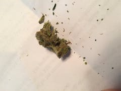 User uploaded image of Cold Creek Kush