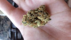 User uploaded image of Cold Creek Kush