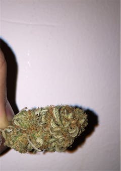 User uploaded image of Cold Creek Kush