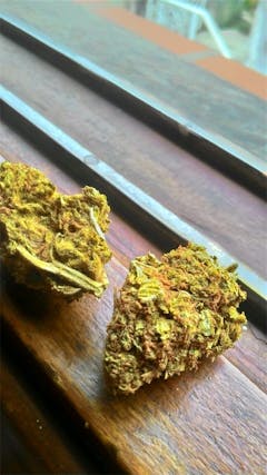 User uploaded image of Colombian Gold