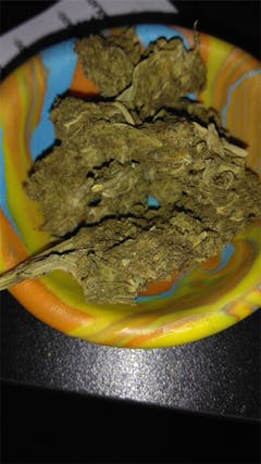 User uploaded image of Colombian Gold