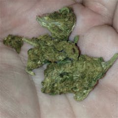 User uploaded image of Colombian Gold