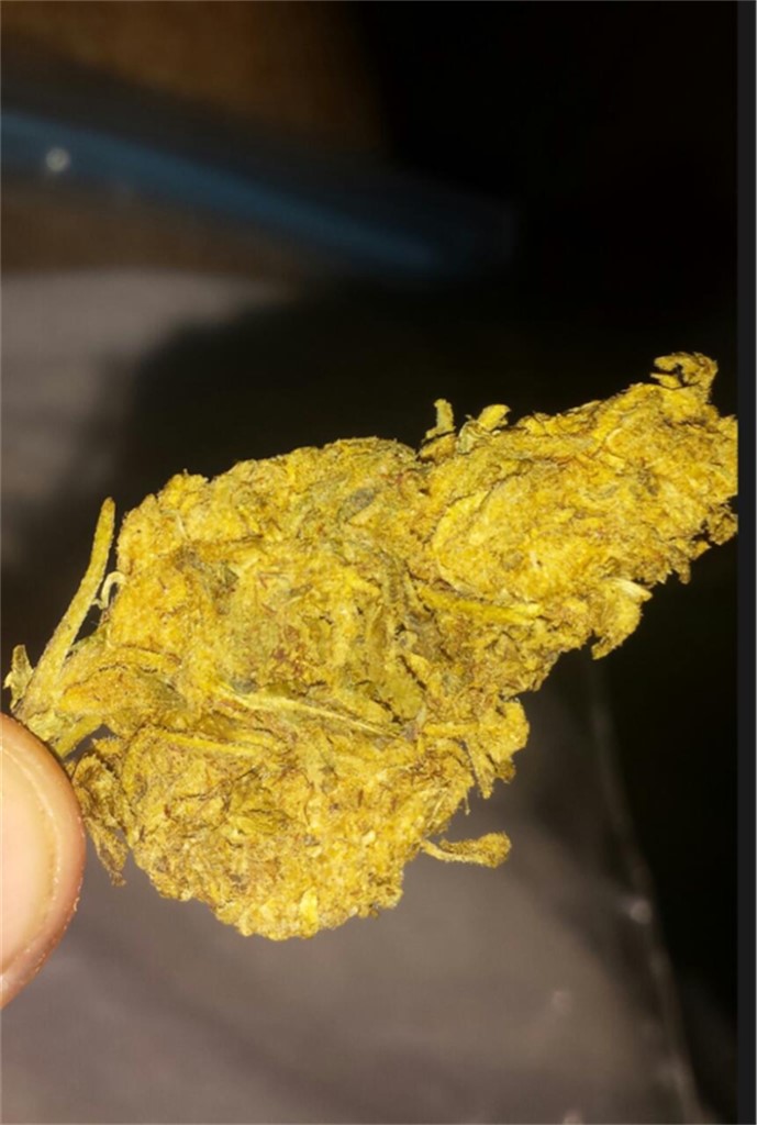 Photos Of Colombian Gold Weed Strain Buds | Leafly