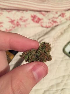 User uploaded image of Confidential Cheese