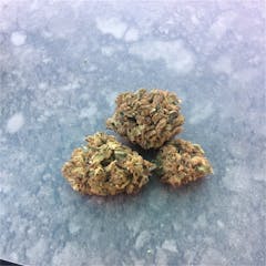 User uploaded image of Confidential Cheese