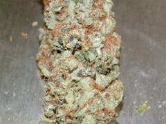 User uploaded image of Confidential Cheese