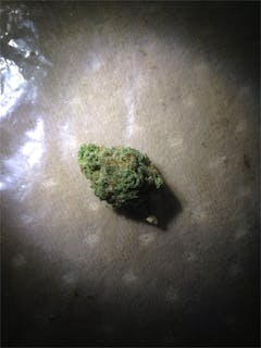 User uploaded image of Confidential Cheese