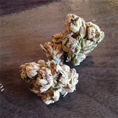 User uploaded image of Confidential Cheese