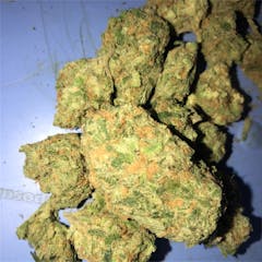 User uploaded image of Conspiracy Kush