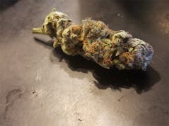 User uploaded image of Conspiracy Kush