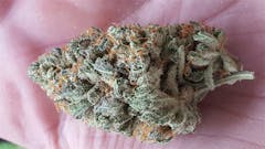User uploaded image of Conspiracy Kush