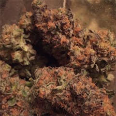 User uploaded image of Cookie Dough