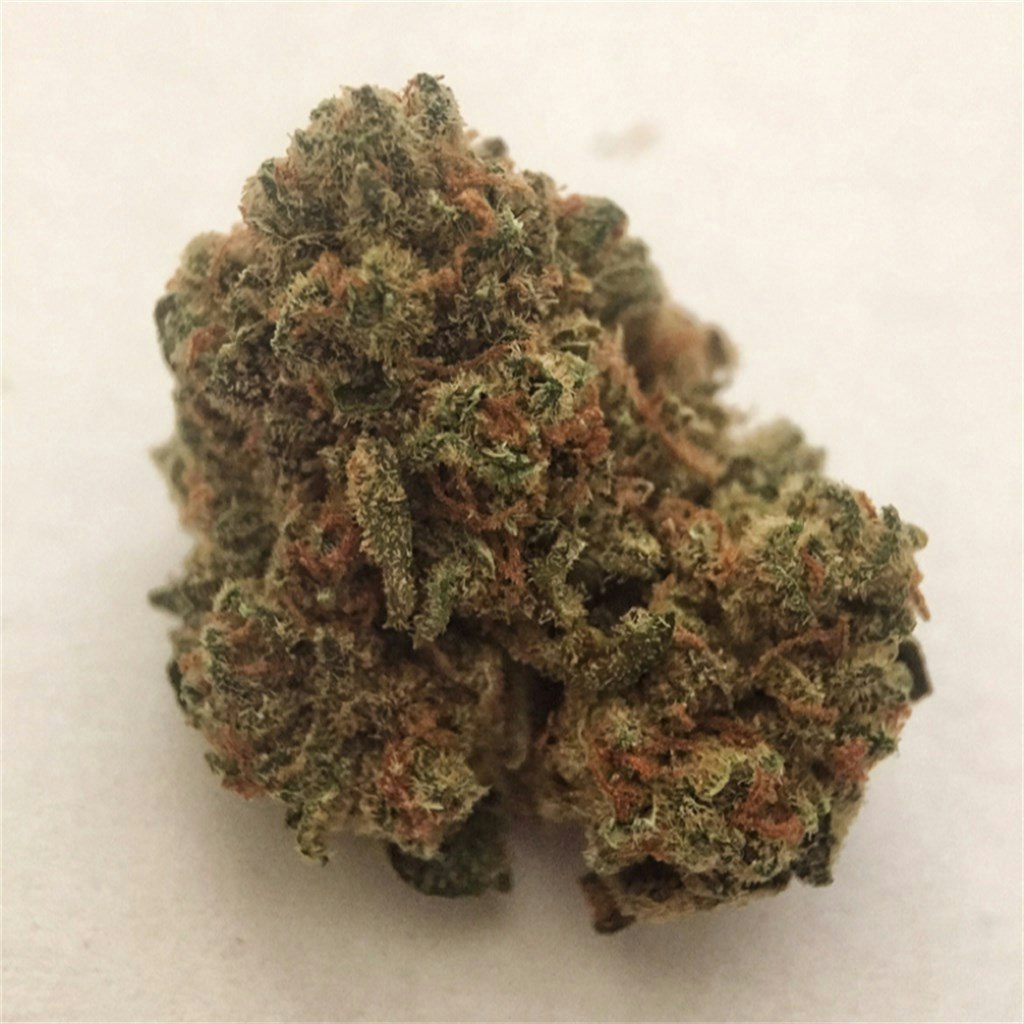 Cookie puss strain