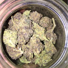 User uploaded image of Cookie Jar
