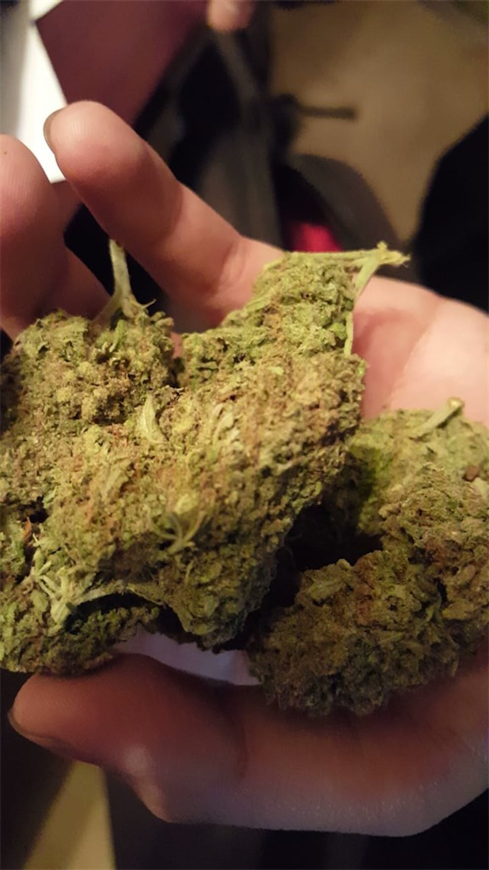 Photos of Cookie Monster Weed Strain Buds Leafly