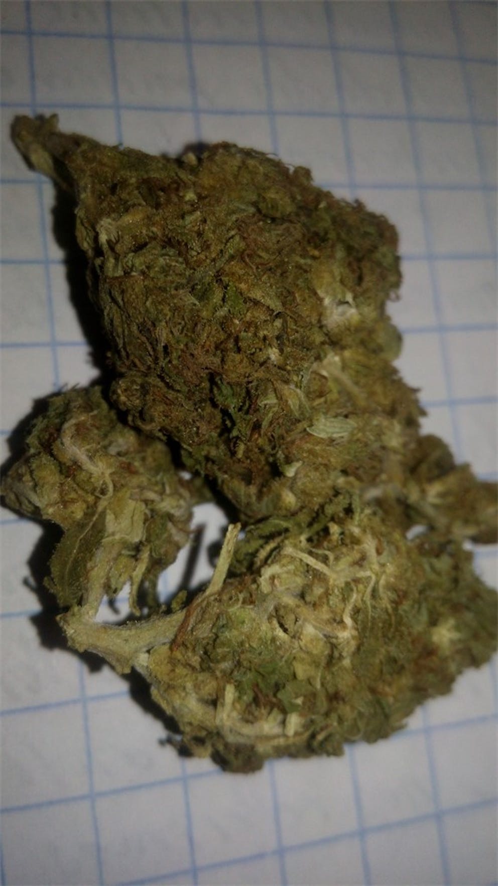 Photos of Cookie Monster Weed Strain Buds Leafly