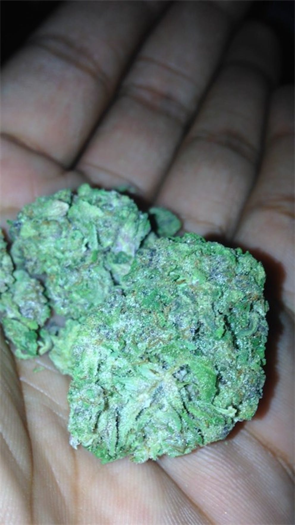 Photos of Cookie Monster Weed Strain Buds Leafly