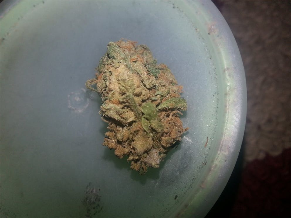 Photos of Cookie Monster Weed Strain Buds Leafly