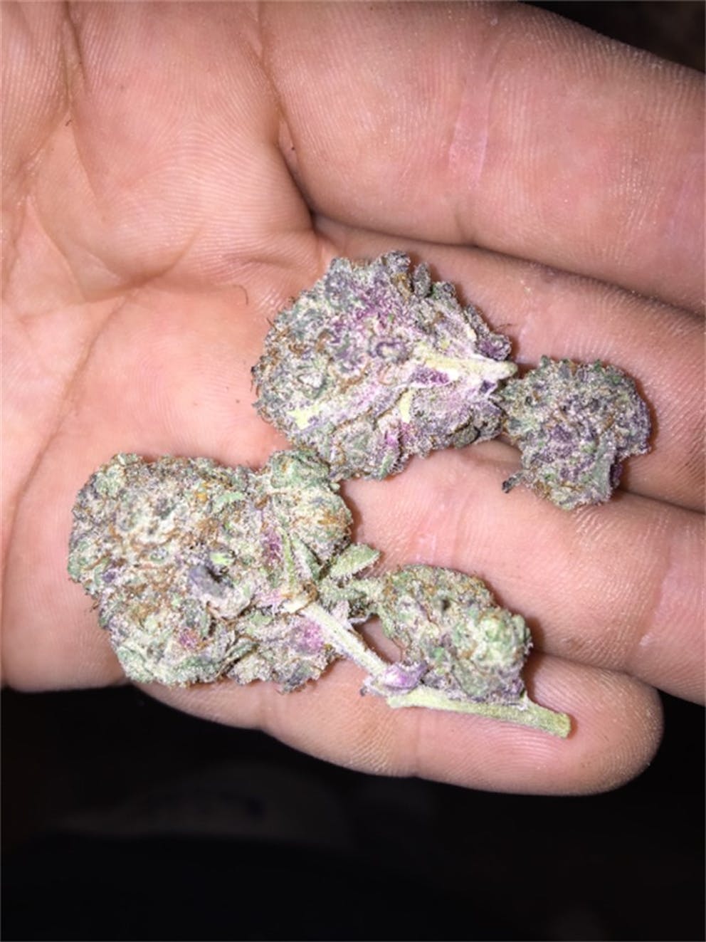 Photos of Cookie Wreck Weed Strain Buds Leafly