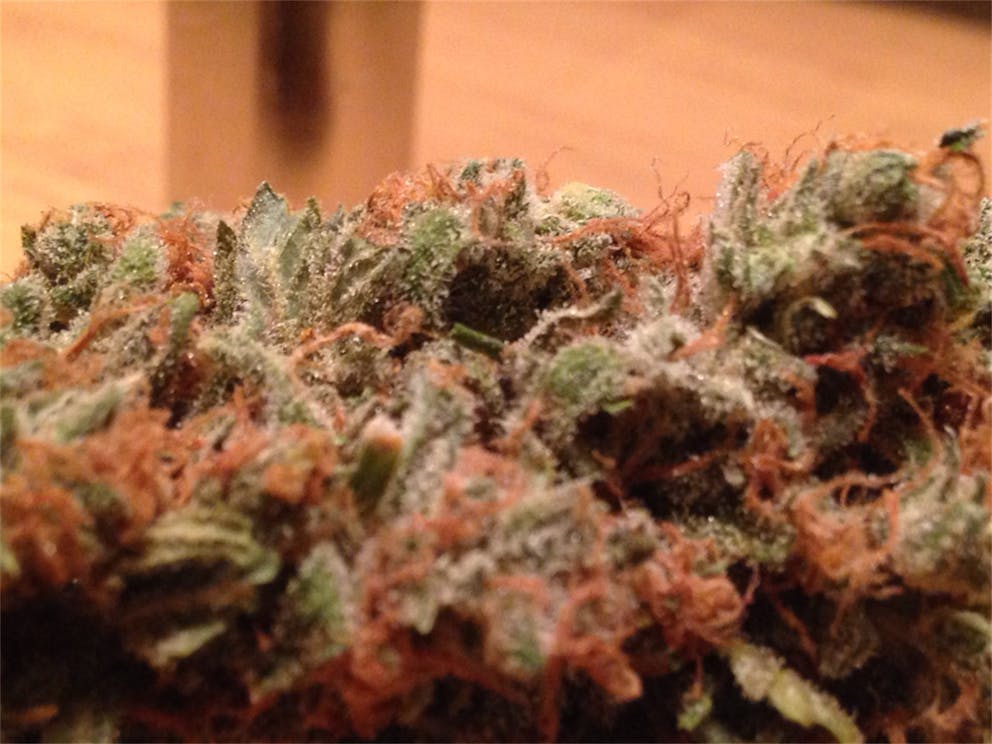 Photos of Cookie Wreck Weed Strain Buds Leafly