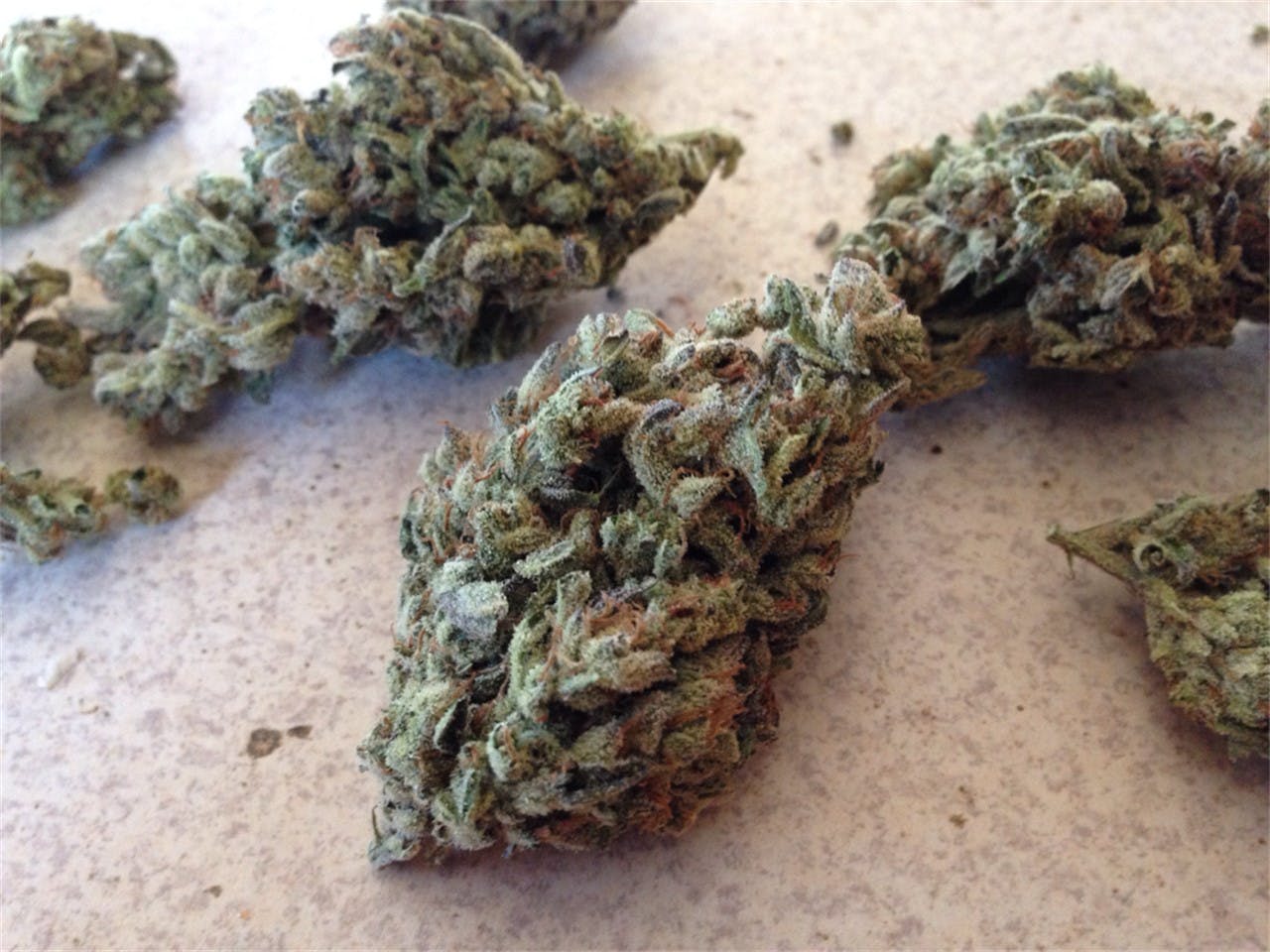 Cookie Wreck aka GSC Wreck, Cookie Trainwreck, GSC Trainwreck Weed