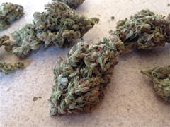 User uploaded image of Cookie Wreck