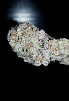 User uploaded image of Cookie Wreck