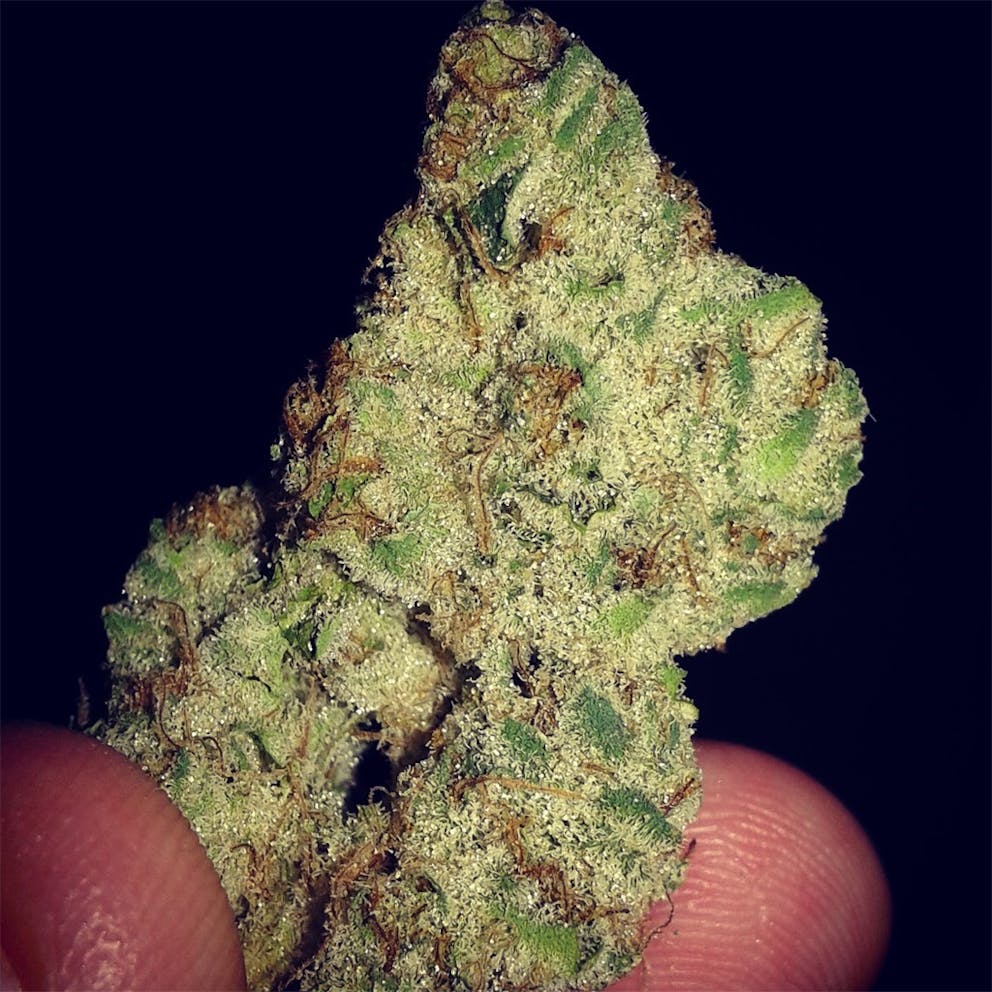 Photos of Cookies and Cream Weed Strain Buds Leafly