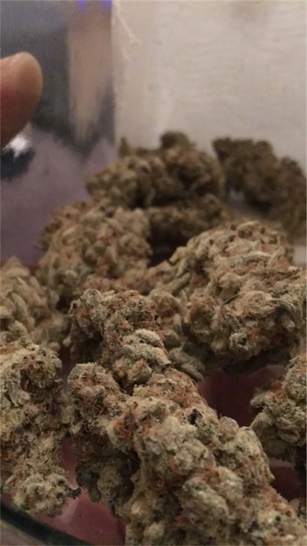 Photos of Cookies and Cream Weed Strain Buds Leafly